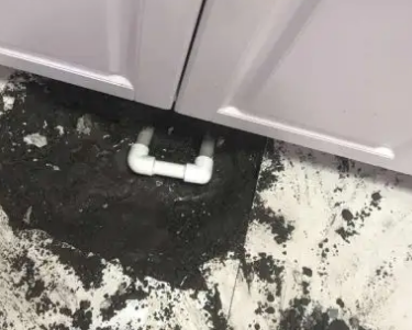 会同查漏水哪家好